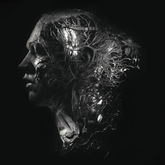 NERVES (LP) - Link to Digital Download in Description