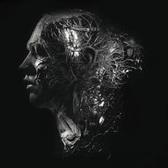 NERVES (LP) - Link to Digital Download in Description
