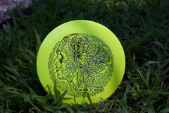 2026 - Q3 - 'Nerves' Disc Golf Disc (Innova Star Wraith) [1/1]